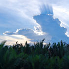 Clouds over the Tanjung Puting National Park, Indonesia Clouds over the Tanjung Puting National Park, Indonesia
