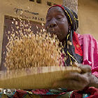 View out to the Namena Marine Reserve A cowpea seller on a market in Africa