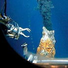 Deep-sea Deep-sea