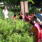 Journalists are taught about the smells of various herbs Journalists are taught about the smells of various herbs