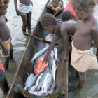Small-scale fisheries, Lavella Island Small-scale fisheries, Lavella Island